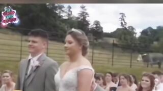 La boda y la vaca