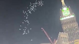 پرندوں کا حانہ کعبہ کا طواف