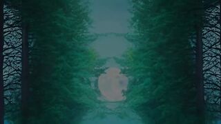 viran/tree/ road/