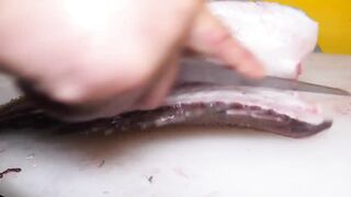 Skill cutting fish for Shashimi