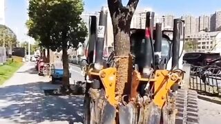 Tree shift ????#shorts #febspot