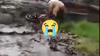 Berita Indonesia