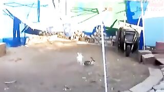 stop fighting