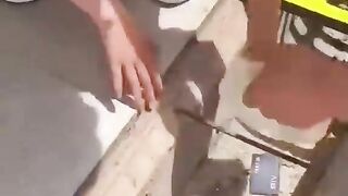 فيديو جديد (خابي لام) تحشيش مضحك جداً ???? _ مقاطع تيك توك