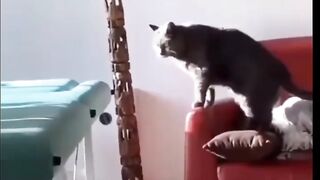 FUNNY 4