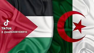 الجزائر ????????فلسطين ????????