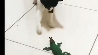FUNNY 7