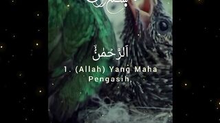 Quran pak toffah