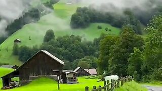 Beauty full views