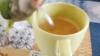 Work work work ????????