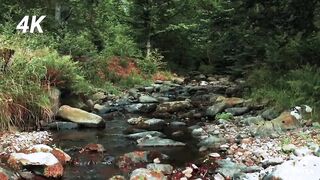 4K video ultra HD | 8K video ultra Relaxing music with Beautiful Nature | 4K Service