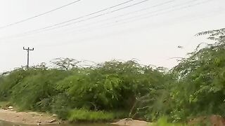 الجواء