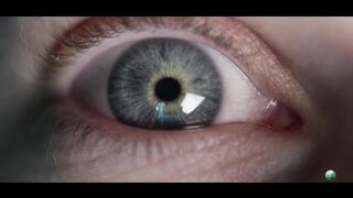 Welcome Animal & Nature 4k Free documentary | 4k video | 8k Ultra HD video | Animal |The Wildlife