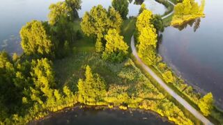 Nature 8K Ultra HD video