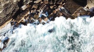 8K.Ultra-HD Beautiful Fish Video