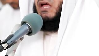 العفاسي