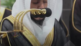 القارئ