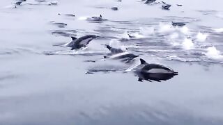 Amazing
