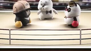 Funny videos