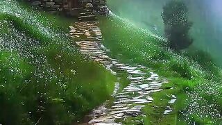 A osame Nature Videos