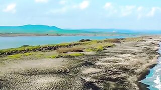 ПОМОРИЙСКА ПЯСЪЧНА КОСА