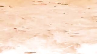 Pure Kohati Gultair vs Pitbull in River