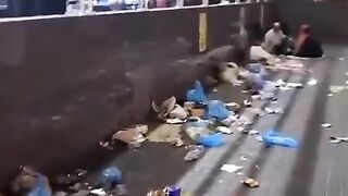الأزبال في المكان المقدس شيء لا يصدق