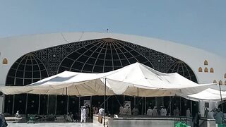 Data Ali Haji 2024
