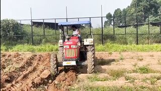 Ms Dhoni stunts video