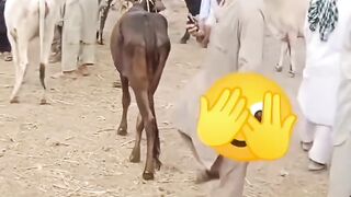 Its so funny LoL