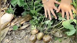 Chiness vegetable