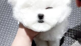 So cute