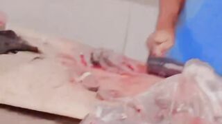 King fish slice