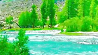 Greeny water