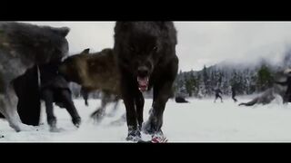 The twilight saga breaking