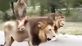 Funny