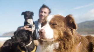 I want  a dog  what i need  to know.