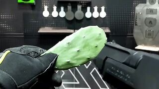 this is not regular gelsoft!
