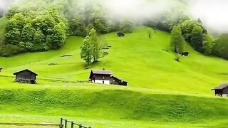Beauty and Nature Edition 06
