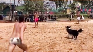 A dog carrying Brazilian genes ????❤❤