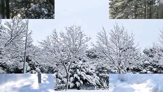 Ifrane la nature