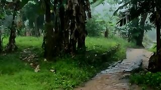 Nature and Rainwater Scenery