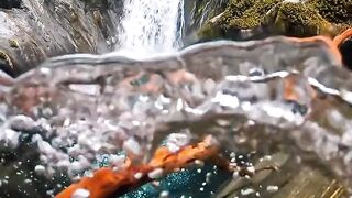 Water Sound Nature Scenery Part. 2