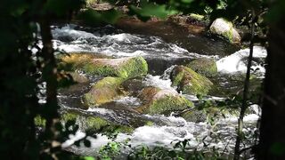 Water Sound Nature Scenery Part. 4