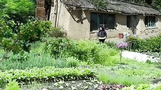 Nature Scenery of Water and Bird Sounds Part. 2