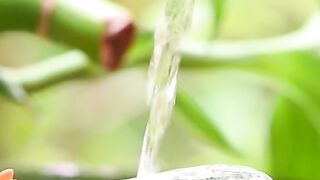 Water Sound Nature Scenery Part. 9