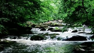 Water Sound Nature Scenery Part. 10
