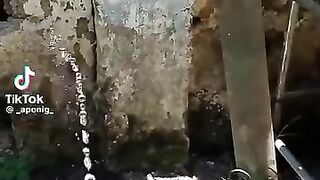 Just4laugh