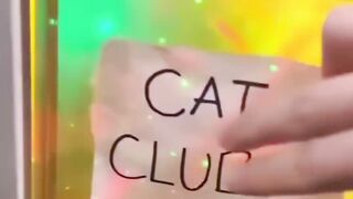 Cat disco