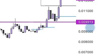 What's your strategy for the bull run cycle